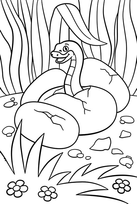 Toradh íomhá ar Web Page Python