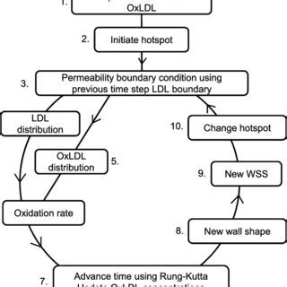 Image result for Code Function Scheme