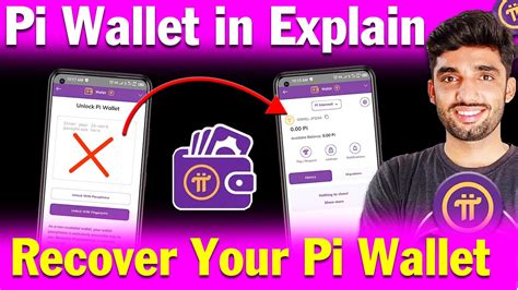 Image result for Wallet Pi Money