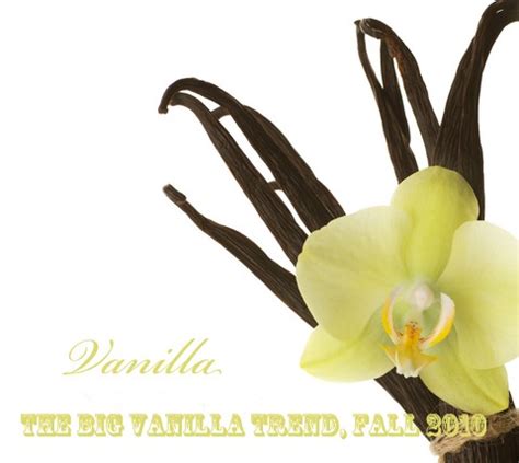 Image result for Vanilla Minecraft Bookshelf Interior Design