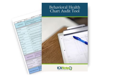 Image result for Behavioral Health Chart Audit Tool