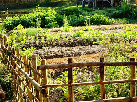 Image result for Compost Shredder Wiring-Diagram