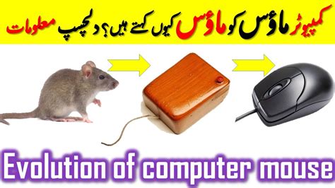 Image result for First Computer Mouse