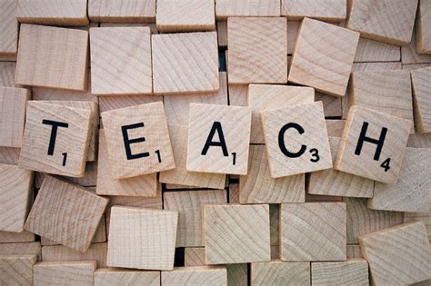 Image result for Teaching Dog Directional