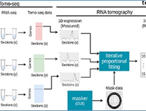 Image result for RNA-seq Data