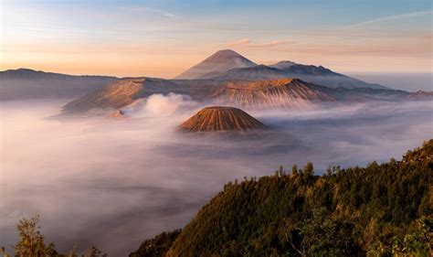 Image result for Java Mame