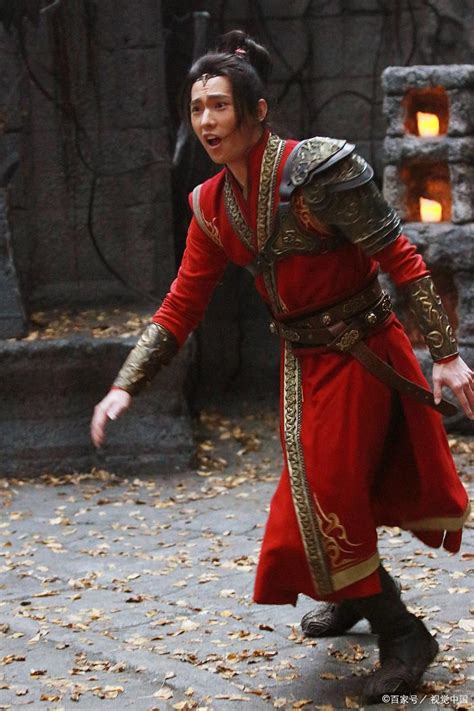 Image result for Fire Python Tiger