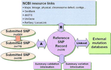 Image result for dbSNP Database PPT