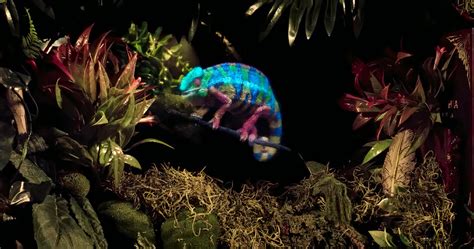 Light Field Lab に対する画像結果