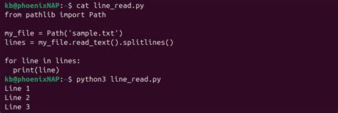 Toradh íomhá ar Python Open File and Read Line by Line