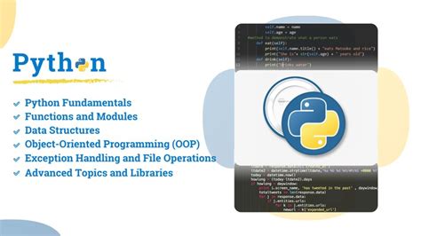 Image result for Python Programming Test