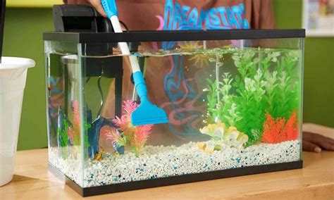 Toradh íomhá ar Clean a Used 75Gl Fish Tank