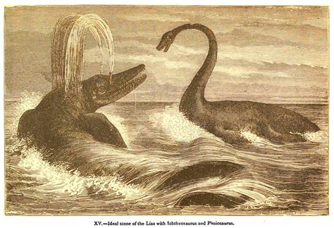 Image result for Nessie Pleosaurus