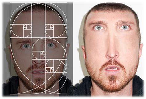 Toradh íomhá ar Golden Section Architecture