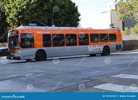 Image result for Metro Local Bus