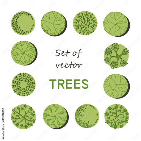 Tree Base Drawing に対する画像結果