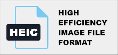 Image File Types: Everything You Need to Know About Images