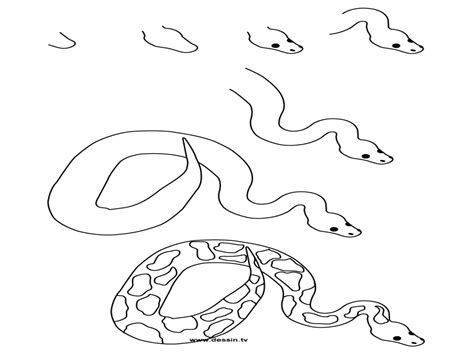 Image result for Python Snake Drawing Easy