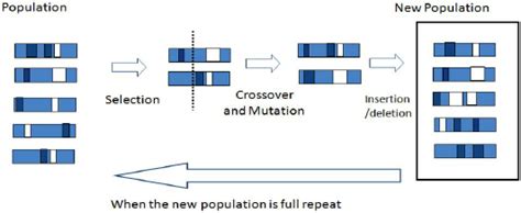 Image result for Genetic Algorithm Molecules