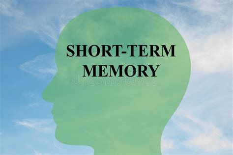Image result for Short-Term Memory Vector