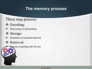 Image result for Memory Encoding Machine Model