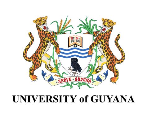 Toradh íomhá ar Innovation University Logo