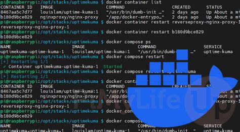 Image result for How to Reload Docker Container