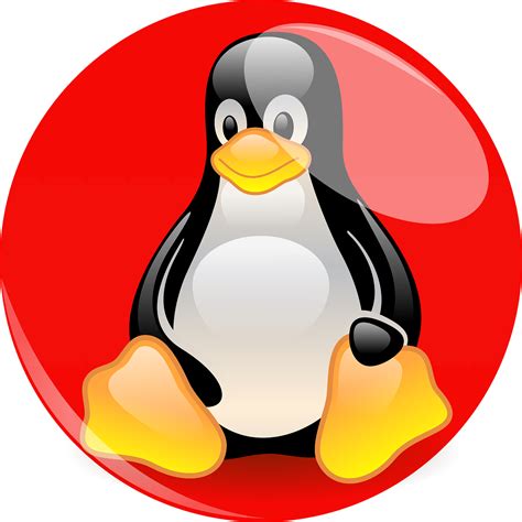 Image result for Linux Penguin Windows Logo