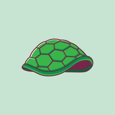 Cartoon Turtle Shell Facing Backwards に対する画像結果
