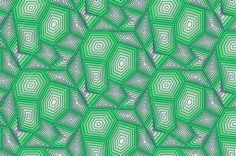 Image result for A Small Turtle with a Pattern Shell