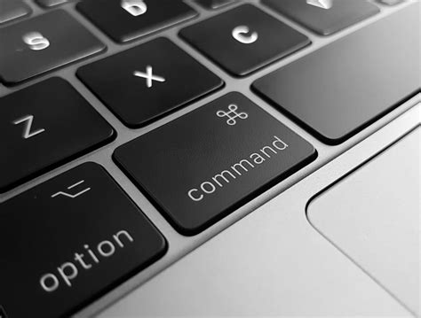 Command Line Python Projects GitHub に対する画像結果