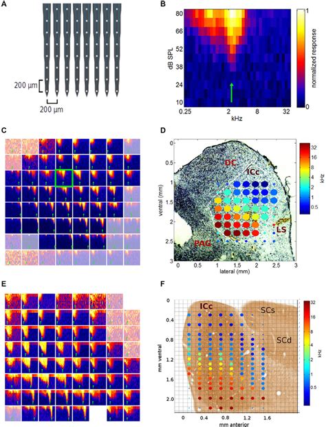 Image result for Split Electrode Array
