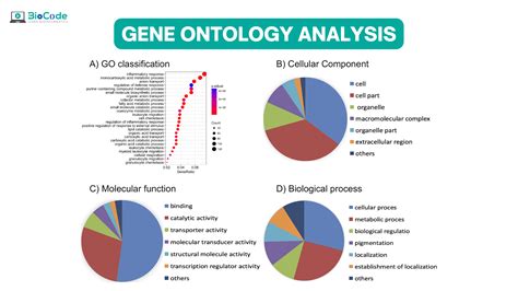 Afbeeldingsresultaten voor Gene Map Python