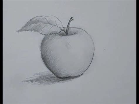 Image result for Apple On a Table Drawing Realistic