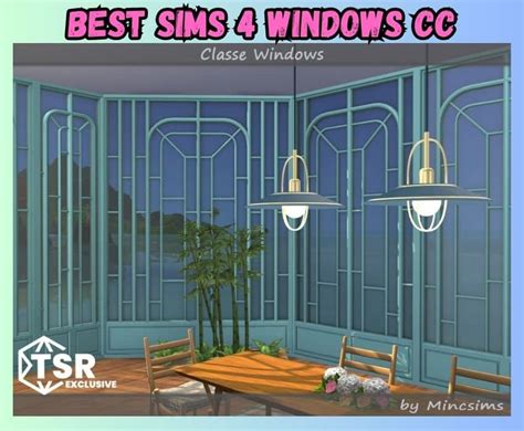 Toradh íomhá ar Sims 4 Window Animation