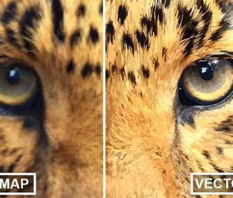 Image result for Online Convert Bitmap to Vector