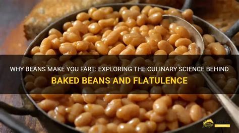 Long Bean Fart 2015 に対する画像結果