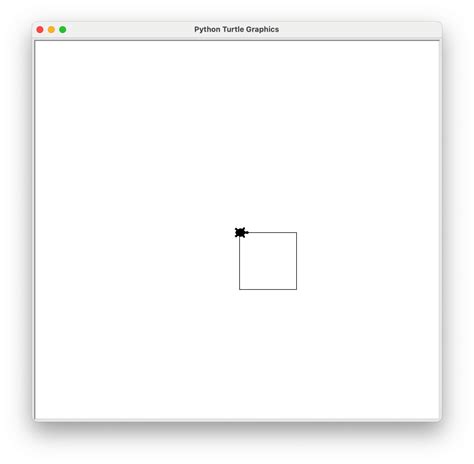 Toradh íomhá ar Picture On Different Shape On Turtle Module