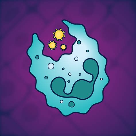 Image result for Innate Immune System Project