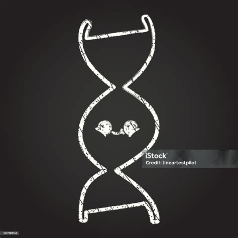 Image result for How to Draw a DNA Strand