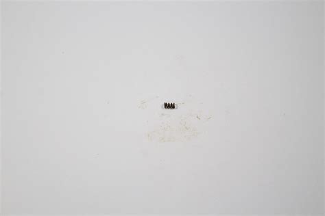 Image result for Colt Python Leaf Spring