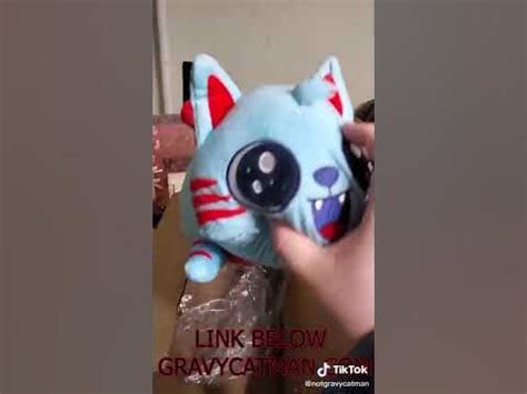 Image result for Gravy Cat Man Live