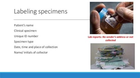 Résultat d’images pour Specimen Collection Nursing