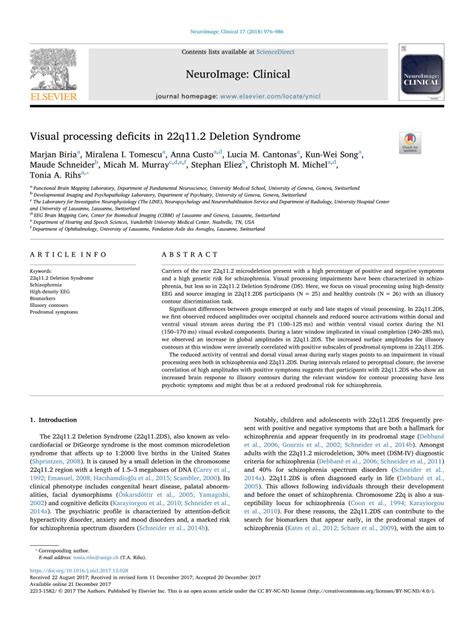 Toradh íomhá ar Visual Processing Deficits