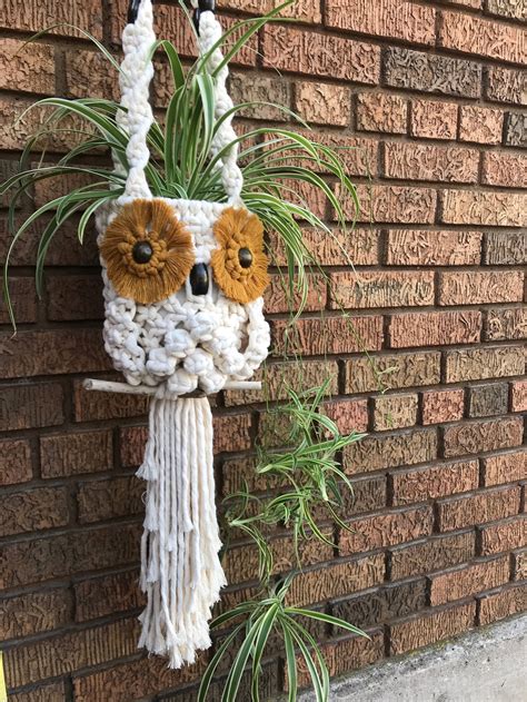Image result for Macrame Owl Plant Hanger Pattern