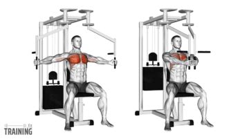 Image result for Image of Butterfly Reverse Crunch Exercise