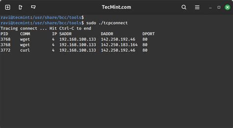 Image result for TCP Viewer Linux