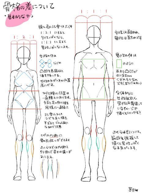 Body Types Chart Drawing に対する画像結果
