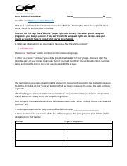 Image result for Lizard Evolution Virtual Lab PDF