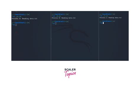 Image result for Lock Linux